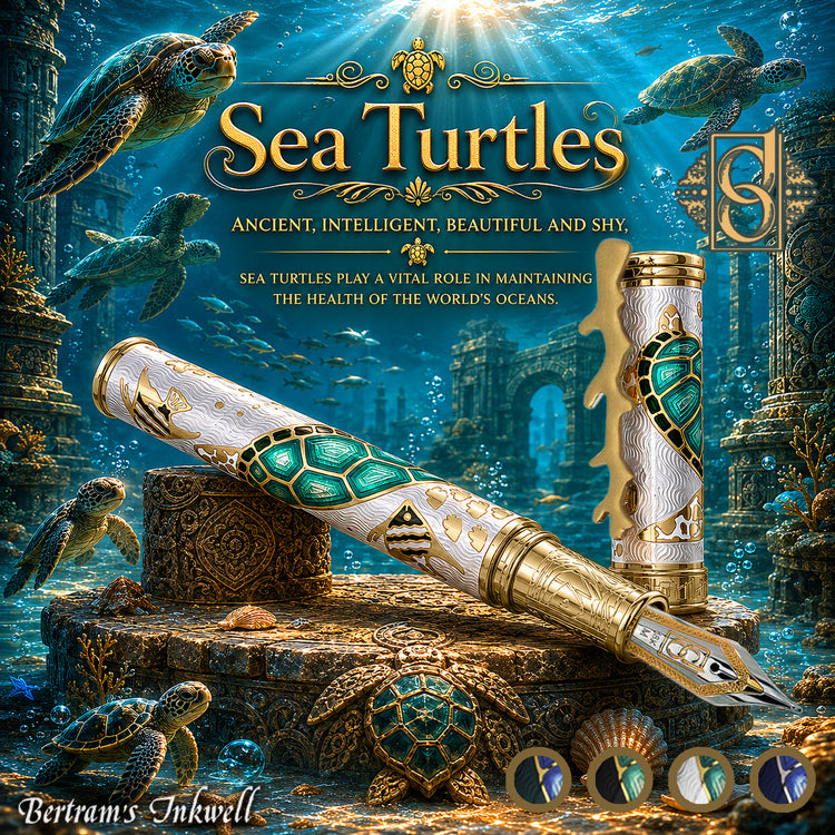 David Oscarson Sea Turtles