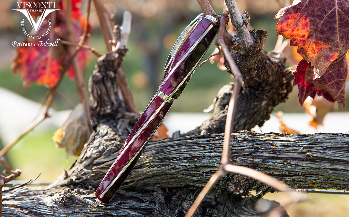 Visconti Divina Elegance Bordeaux Fountain Pen