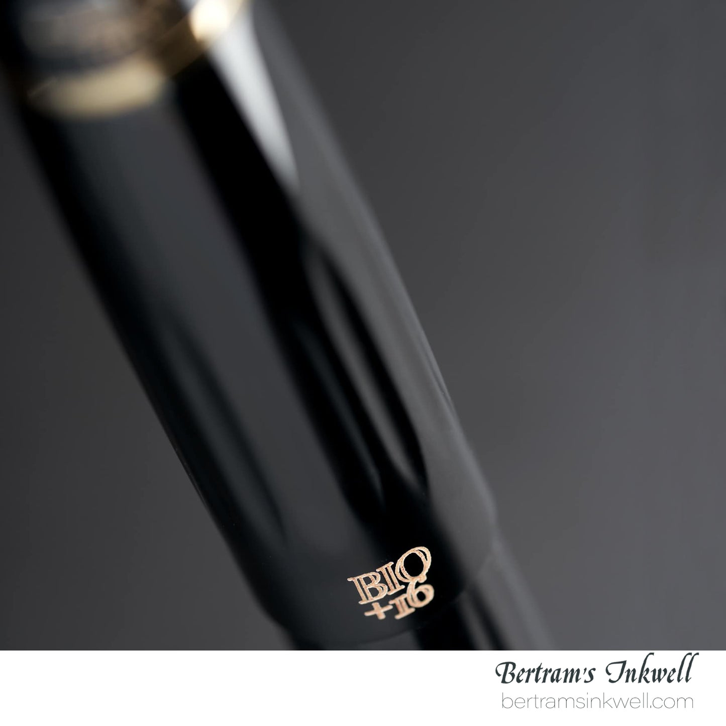 Delta Bio+16 Fountain Pen Nera "KP" #6 14Kt Gold Nib