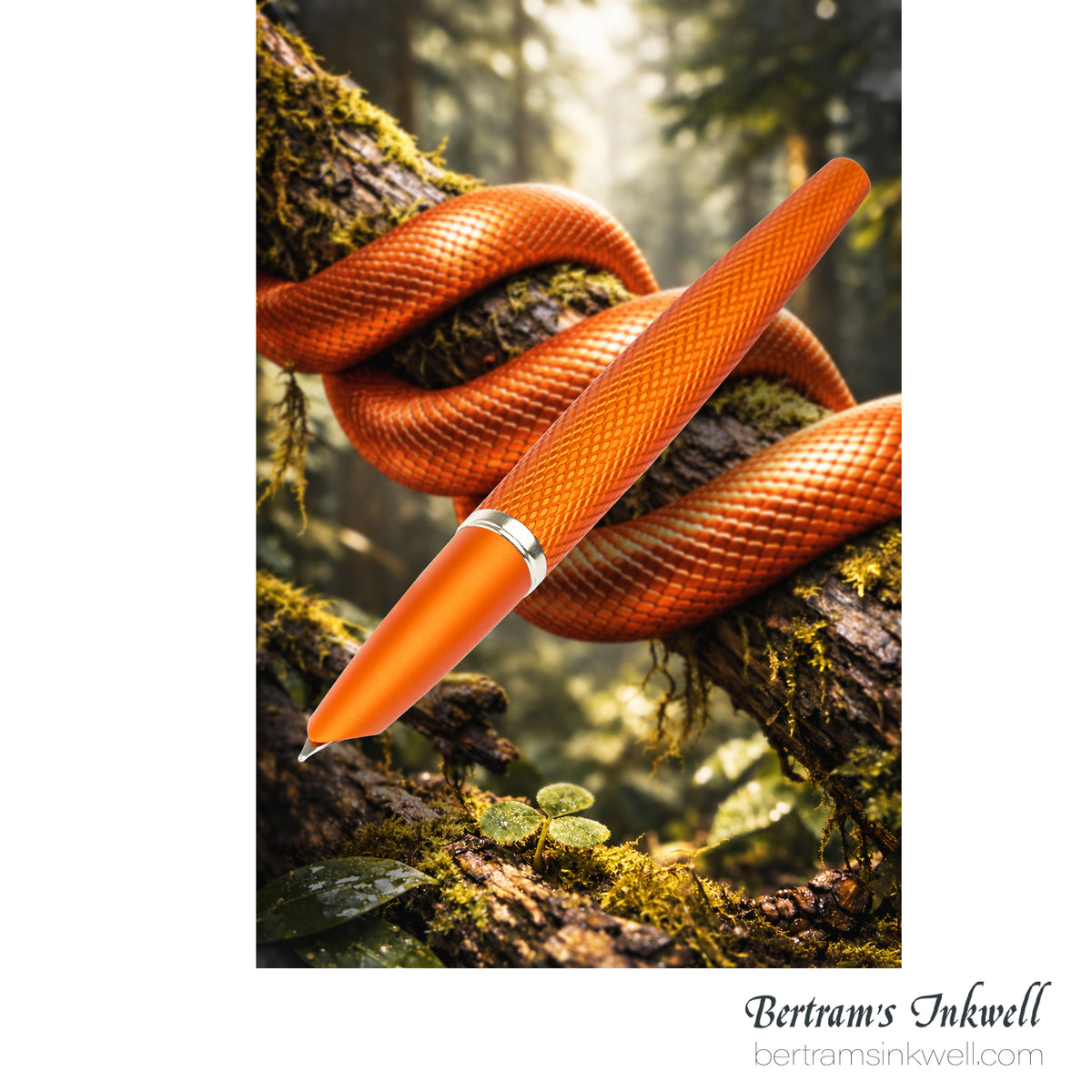 Diplomat Viper Orange Guilloche Fountain Pen