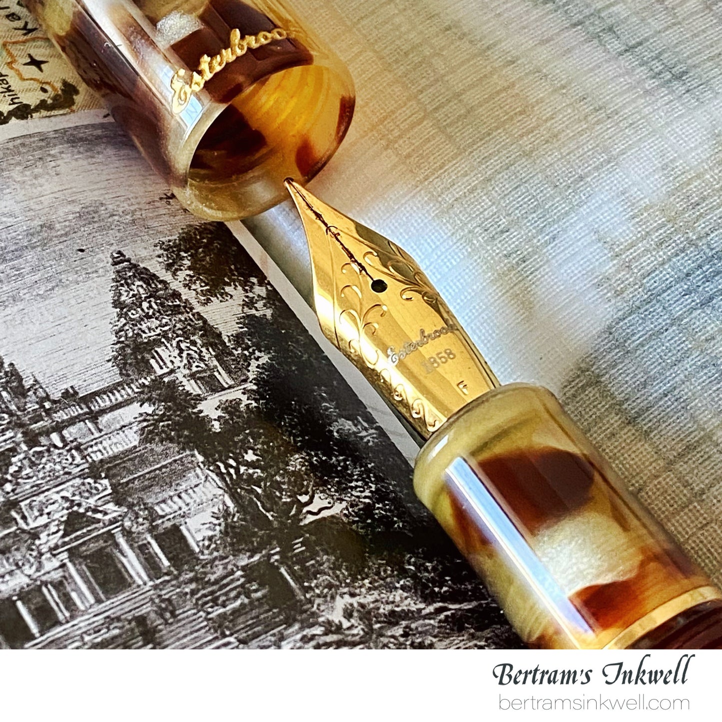 Esterbrook Estie Tortoise Regular Size Gold Trim Fountain Pen