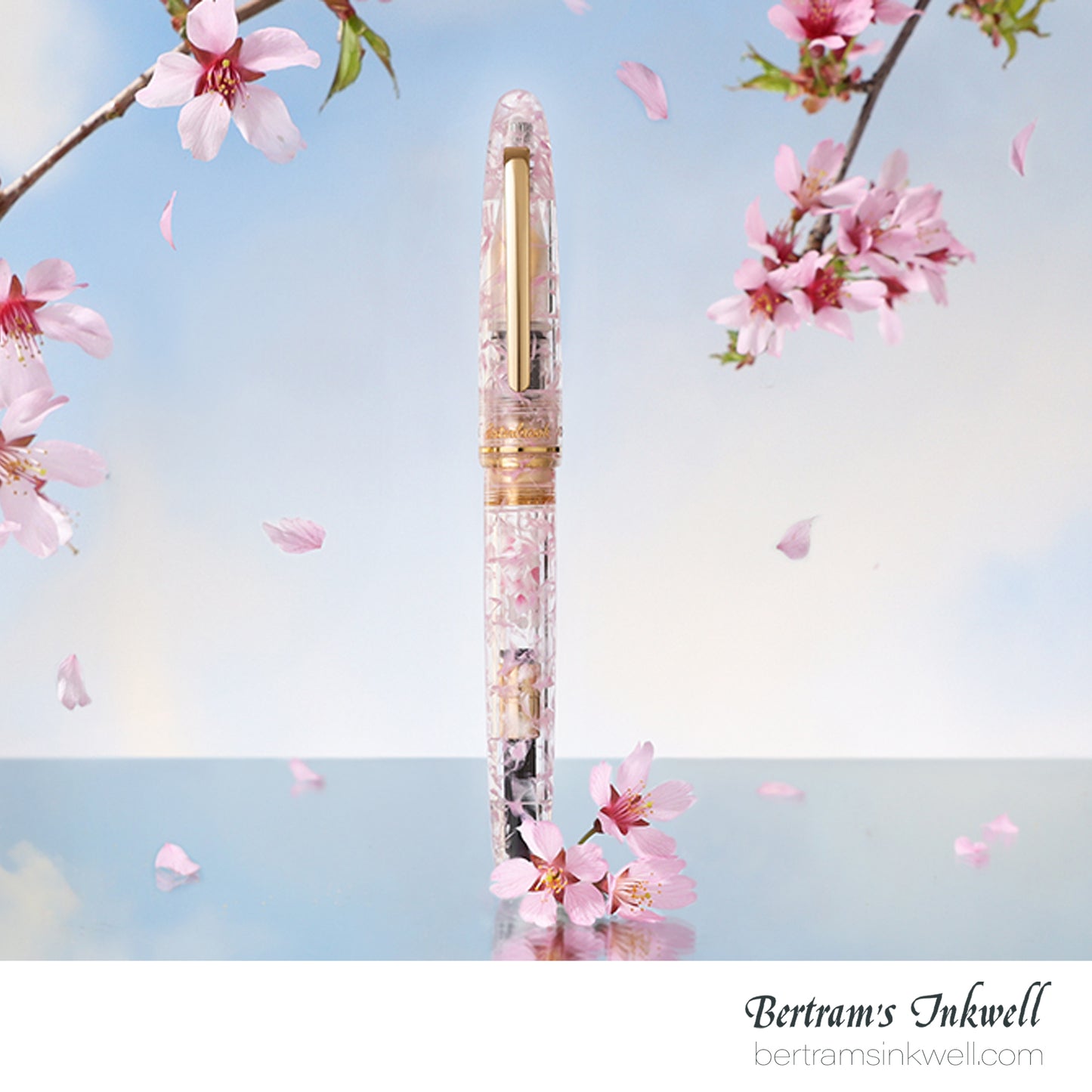 Esterbrook x Bungubox Estie Kachofugetsu "Flower"  Fountain Pen