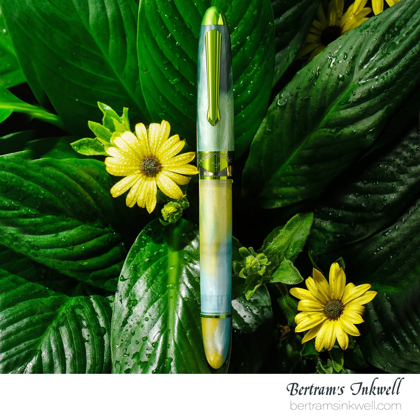 Nahvalur Horizon Gaia Fountain Pen