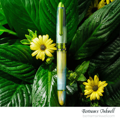 Nahvalur Horizon Gaia Fountain Pen