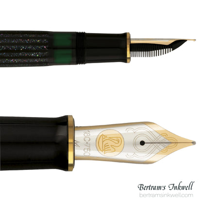 Pelikan Souverän M1000 Raden Stardust "Hoshikuzu" Limited Edition Fountain pen