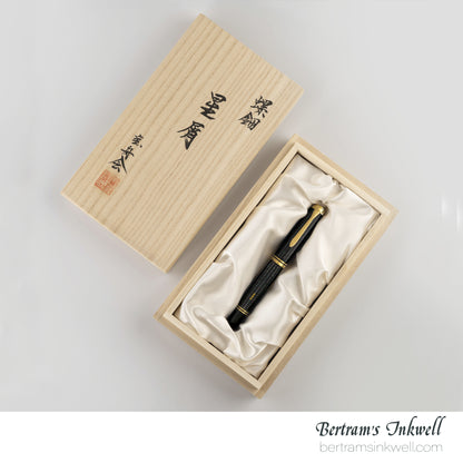 Pelikan Souverän M1000 Raden Stardust "Hoshikuzu" Limited Edition Fountain pen