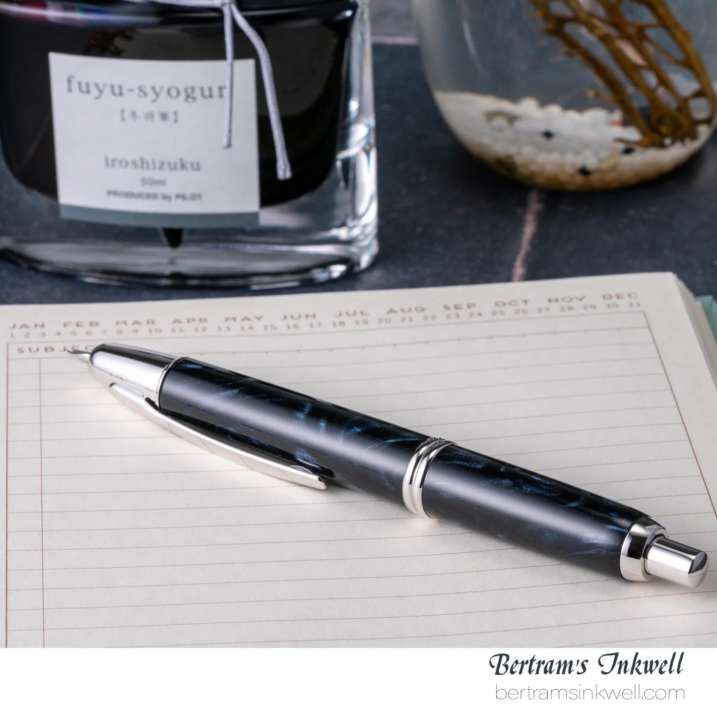 Pilot Vanishing Point SE  Marble Black  Fountain Pen