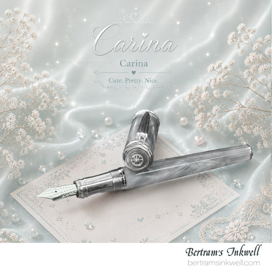 Signum Carina Grey Mist Fountain Pen With Leather Pen Case, 2011