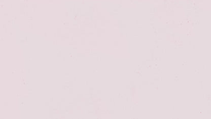 Esterbrook Estie Raven Regular Size Fountain Pen